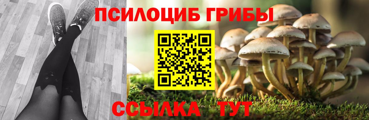 Галлюциногенные грибы мухоморы  Вход с VPN  Псилоцибиновые грибы мицелий  Тула 